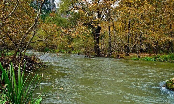 Τι έδειξαν οι αυτοψίες του ΥΠΕΝ στον ποταμό Λούρο