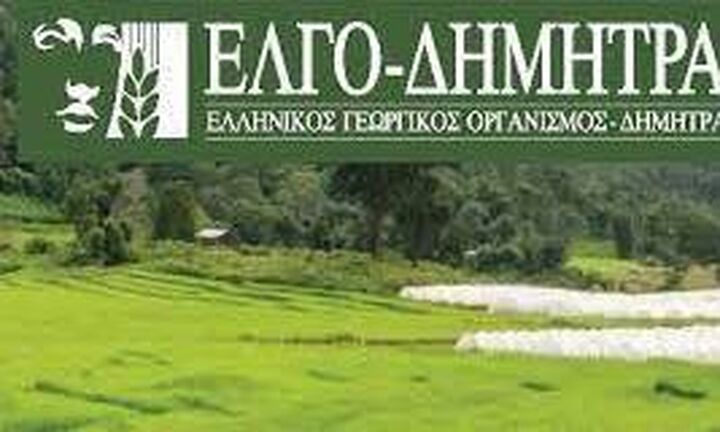 ΕΛΓΟ-ΔΗΜΗΤΡΑ: Eγγραφή 1.052 νέων φυσικών προσώπων στο Μητρώο Γεωργικών Συμβούλων