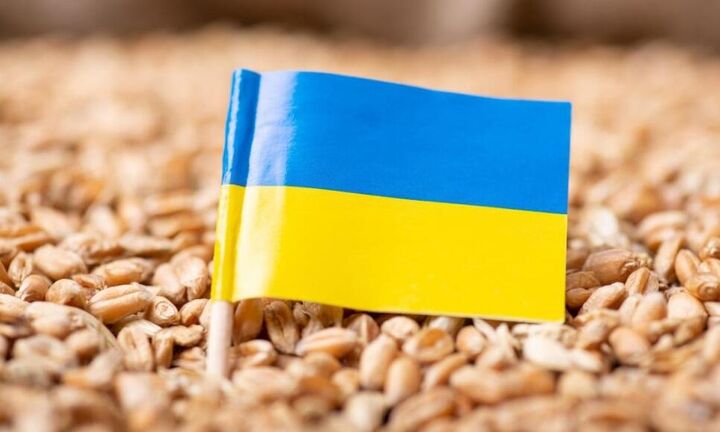 ΟΗΕ: Τους 14 εκατ. τόνους ξεπέρασαν οι εξαγωγές ουκρανικών σιτηρών 