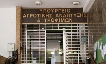  ΥΠΑΑΤ:Προκαταβολή 13,4 εκατ. ευρώ για τις πυρόπληκτες δενδρώδεις καλλιέργειες
