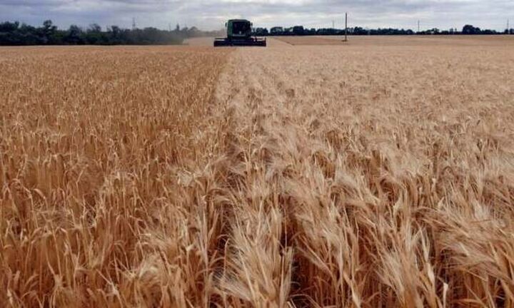  Ουκρανία: Μειώθηκε 40% η συγκομιδή σιτηρών το 2022