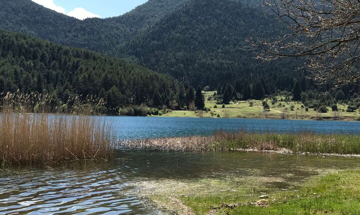  Παράταση έως 30/4 στη διαβούλευση για τις Ειδικές Περιβαλλοντικές μελέτες σε περιοχές Natura 2000