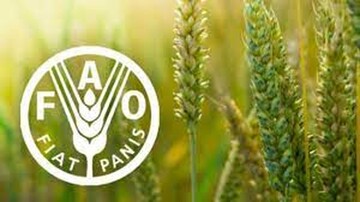 FAO: Οι παγκόσμιες τιμές των τροφίμων μειώθηκαν το Φεβρουάριο για 11ο διαδοχικό μήνα