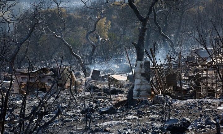 Ανατολική Αττική: Σχεδόν 35.000 στρέμματα κάηκαν από την πυρκαγιά 