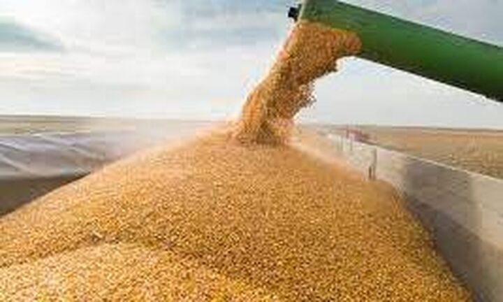 Η ΕΕ προειδοποιεί ότι η Ρωσία στοχεύει να δημιουργήσει νέες εξαρτήσεις με φθηνά σιτηρά