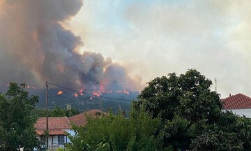 Φωτιά στον Εβρο: Τα μέτρα στήριξης για τους πληγέντες