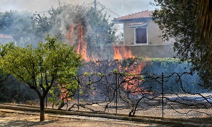 ΥΠΕΘΟ: Παράταση φορολογικών υποχρεώσεων για τους πυρόπληκτους στον Έβρο