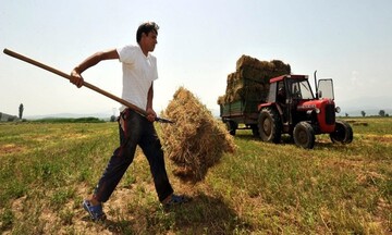 Ενισχύσεις έως 42.500 ευρώ για νέους αγρότες - Τι προβλέπει το νέο πρόγραμμα