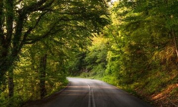 Η αυξημένη ζήτηση για λογοδοσία και βιωσιμότητα οδηγεί τις εταιρείες να υιοθετούν τα κριτήρια ESG.