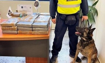 Κοκαΐνη αξίας 2,8 εκατ. ευρώ εντόπισε η ΑΑΔΕ σε container με μπανάνες
