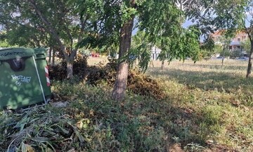 Πώς επηρέασαν οι καθαρισμοί των οικοπέδων την εξέλιξη των πυρκαγιών στην Αττική