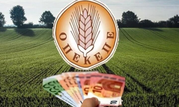 ΑΑΔΕ: Ξεκινά το σαφάρι για τις παράνομες επιδοτήσεις από τον ΟΠΕΚΕΠΕ - Πώς θα κινηθεί η ειδική ομάδα