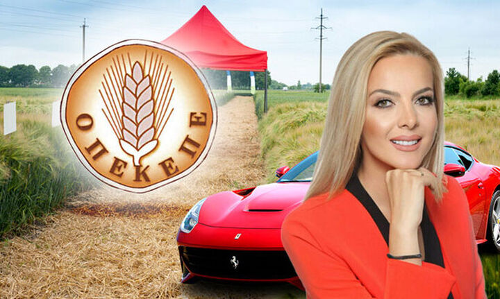 ΟΠΕΚΕΠΕ: Δεσμεύονται περιουσιακά στοιχεία της Πόπης Σεμερτζίδου και τριών ακόμα προσώπων