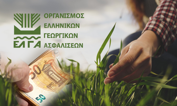 ΕΛΓΑ: Ζητάει την επιστροφή αποζημιώσεων Daniel από 2.645 παραγωγούς της Θεσσαλίας