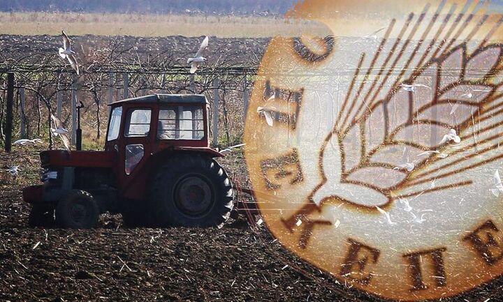 Αγροτεμάχια-φάντασμα: Εγραφαν και έσβηναν χωράφια από το Ε9 - Στο μικροσκόπιο 3.000 «ιδιοκτήτες»