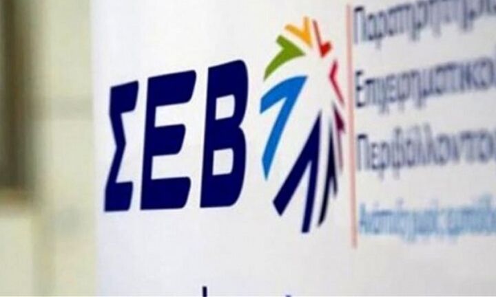 ΣΕΒ: Θετικές επιδόσεις το 2025 αλλά και ελλείψεις στον ψηφιακό μετασχηματισμό  